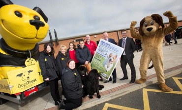 A chip of success for dog campaign