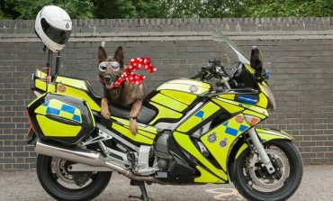 BikeWise promises to be just pawsome!