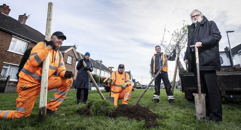 Opportunity for people to plant trees in their area