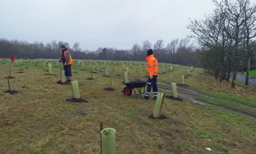 Tree planting scheme nears completion