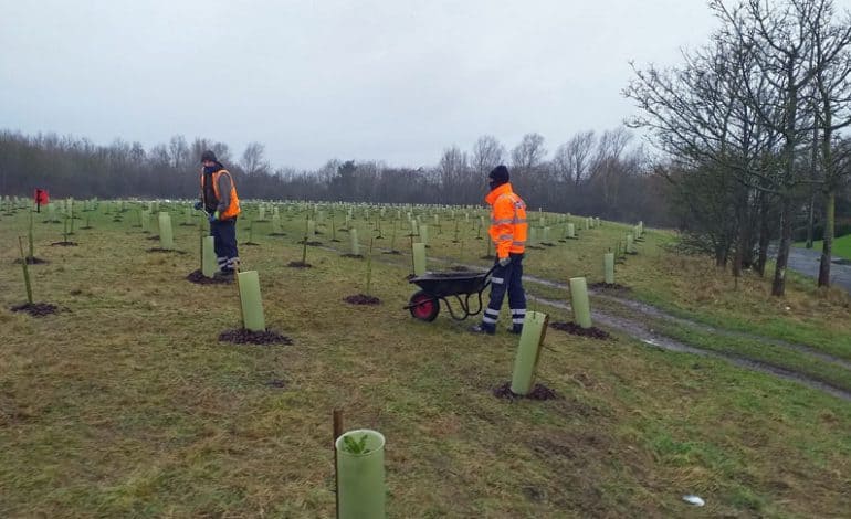 Tree planting scheme nears completion