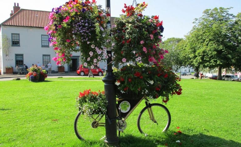 Selfless work of litter-picking and gardening volunteers to be celebrated