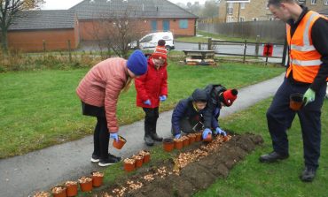 Chance to apply for floral treats to spruce up area