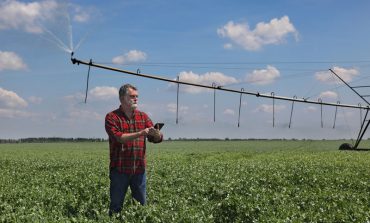 Italian scientist discovers rare cooking plant in Aycliffe field