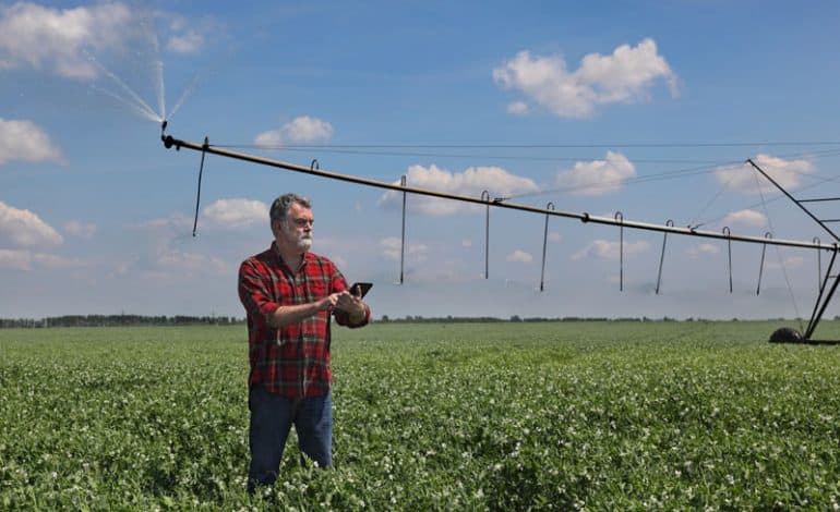 Italian scientist discovers rare cooking plant in Aycliffe field