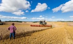 North-East farmers urged to check insurance for temporary workers during harvesting season