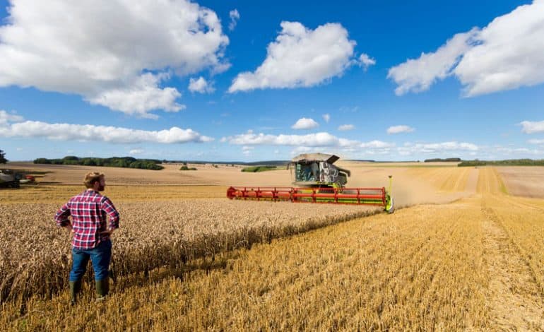 North-East farmers urged to check insurance for temporary workers during harvesting season