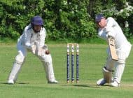 Aycliffe Cricket round-up